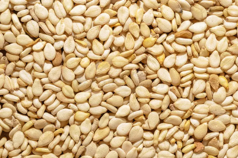 Sesame Seeds