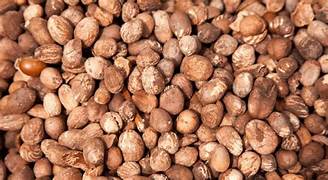 Shea Butter